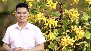 Luật sư Trương Công Đỉnh: Mê chèo và dân ca